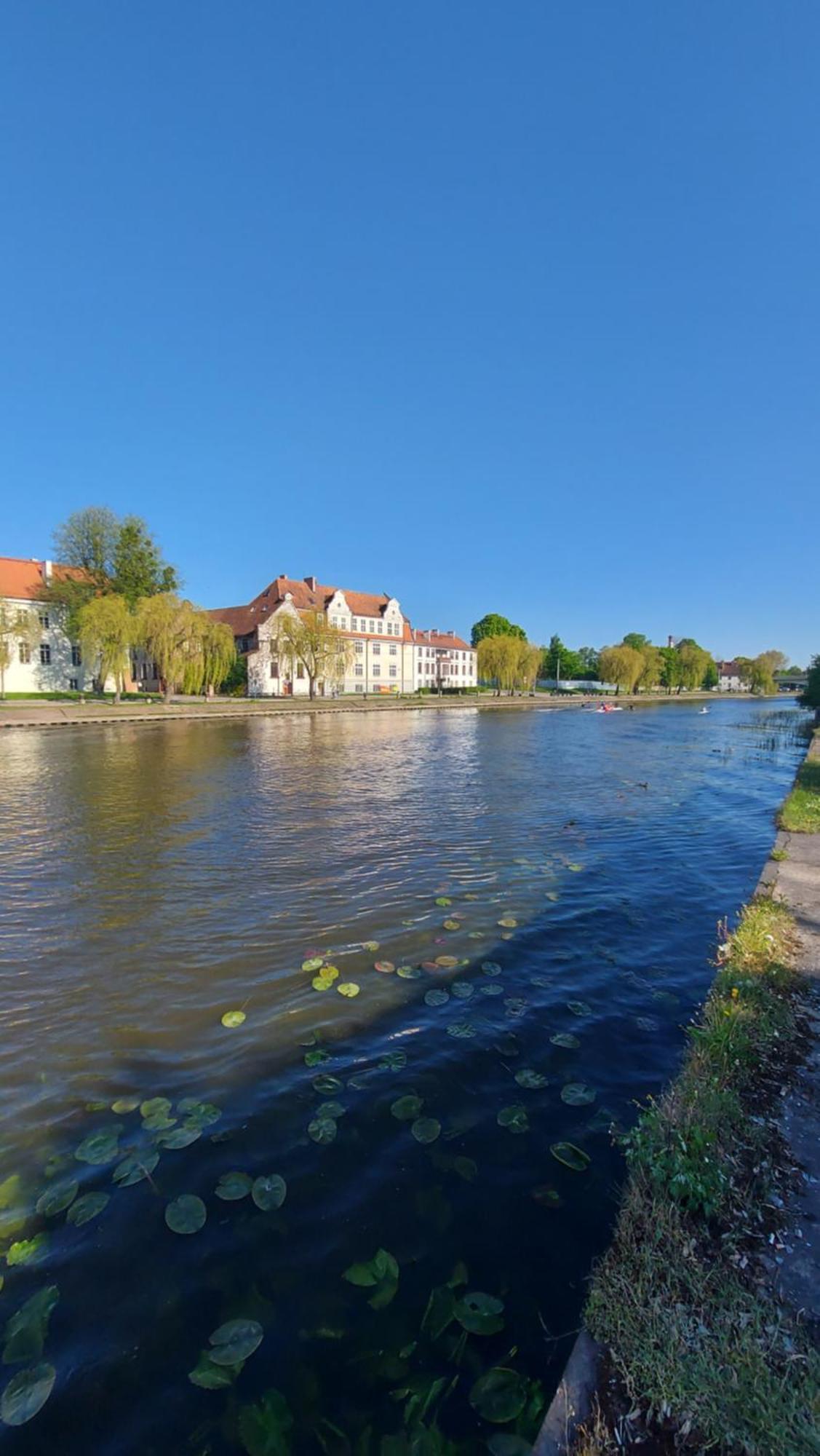 Stare Miasto Kwiaty Elblag Exterior foto